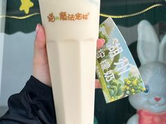 -猫的魔法密林(衣裳街店)