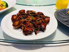 -宝燕壹号(徐汇店)