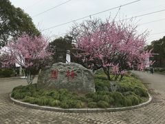 -上海海湾国家森林公园