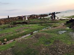 -青岛第二海水浴场