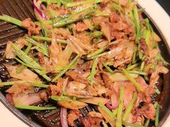 -秀儿四九城·新京菜(亚运村鸟巢店)