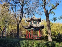 -燕郊植物园