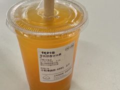 -伏小桃(明瓦廊店)