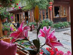 -民食香·腊排骨野生菌美食(木府店)