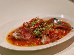 泡椒蒸深海红东星斑-皇朝会.经典传统粤菜(外滩店)