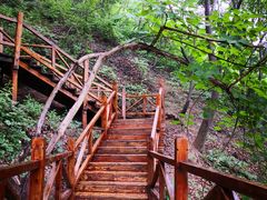 -大岭沟猕猴桃谷风景区