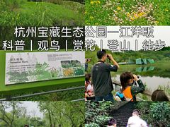 -西湖风景区-江洋畈生态公园