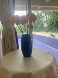 -爱丽馨御景月子中心