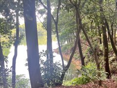 -红花湖景区