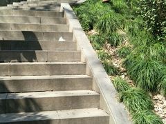 -上海佘山国家森林公园西佘山园