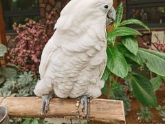 -南宫五洲植物乐园