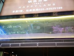 门面-快乐小羊·内蒙牛羊肉火锅(流花中心店)