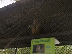 -长白岛森林公园