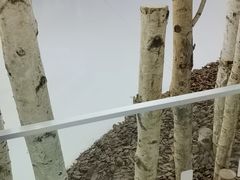 -极简口腔(总院)
