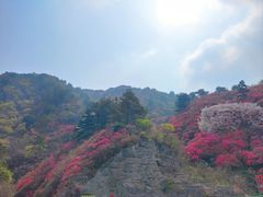 -木兰云雾山
