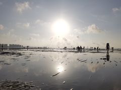 -红树林天天赶海