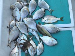 -鑫艋游艇海钓俱乐部