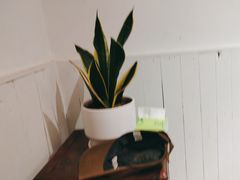 -懒人盐府人家·自贡大麻鱼(安贞店)