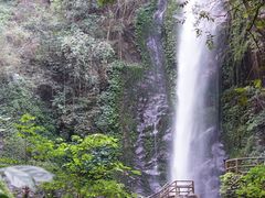 -莫里热带雨林景区