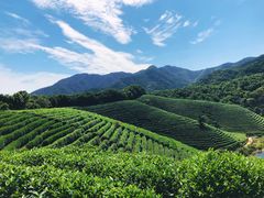 -午潮山国家森林公园