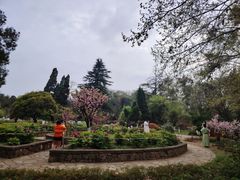 -花溪公园
