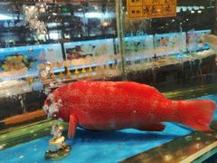 -小渔船渔家传统菜(鲅鱼圈店)