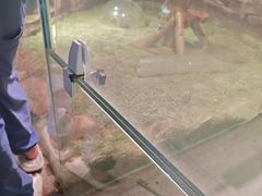 -正佳雨林生态植物园