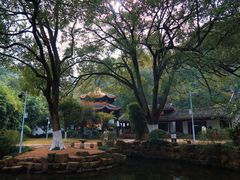 -岳麓山风景名胜区