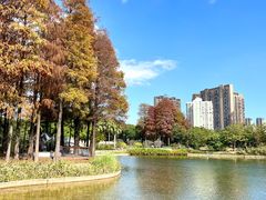 -四海公园(南山区)