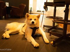 -BOCATA 西班牙餐厅(三里屯店)