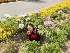 -南通濠河风景名胜区