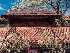 -故宫博物院(故宫)