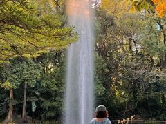 -九龙公园