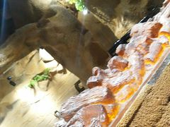 -愿者上钩(龙华华润万家店)
