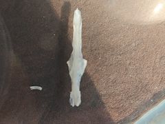 -土砂锅生态山庄·非遗砂锅雅鱼