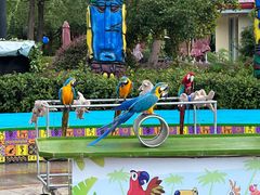 -杭州野生动物世界