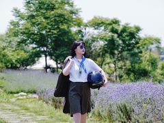 -紫颐香薰山谷景区