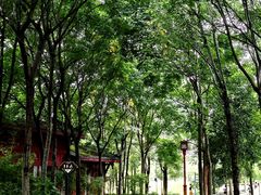 -眉山湿地公园(东坡区)