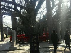 -浮来山风景区