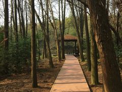 -同里国家湿地公园