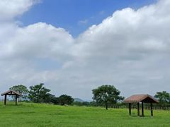 -良渚古城遗址公园