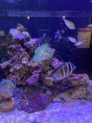 -Zoolung Zoolung动物主题公园(海信广场店)