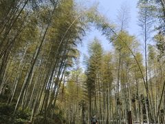 -黄公望隐居地