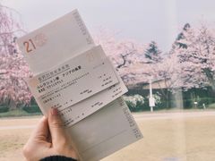 -金泽21世纪美术馆