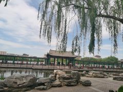 -莲花池公园