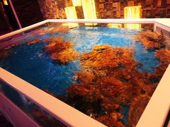 -奥斯汀KTV(金湖店)