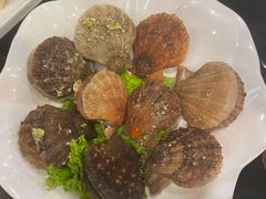 扇贝-青岛小羔羊火锅(李村公园店)