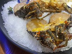 -东海怡品海鲜豆捞(星街坊店)