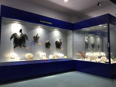 -福州罗源湾海洋世界旅游区