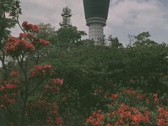 -梧桐山风景名胜区